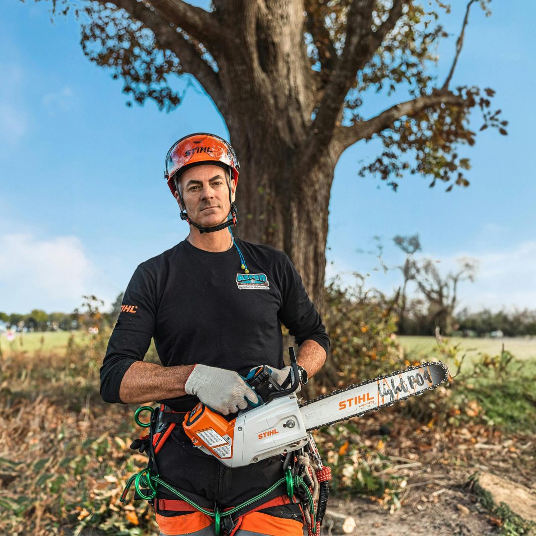 Stihl 14” Top-Handle Chainsaw – MSA 220 TC-O – DICKSON COUNTY